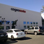 Cognosante office