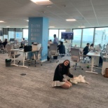 Our Miami, Dog Friendly Office!