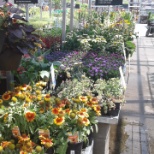 My tables all done at the store I work at.  In the garden center